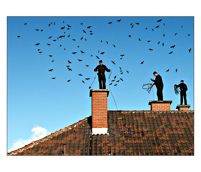 Tri bratri a sto havranu