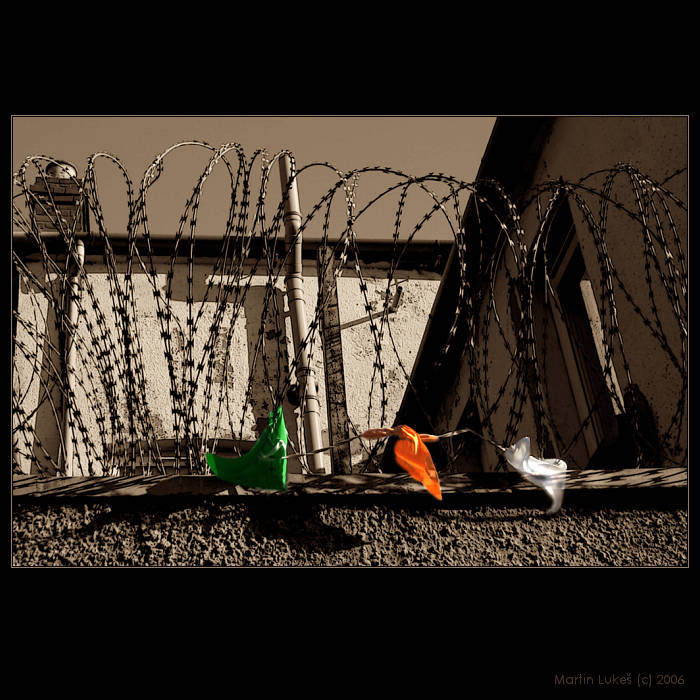 Wall of pain - Fragment of Belfast V.