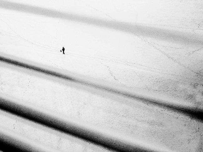 nezne zimni zatisicko s osamelym chodcem, po boku verny pes, v belostnych zavejich