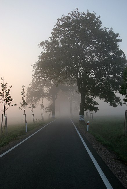 Hmla