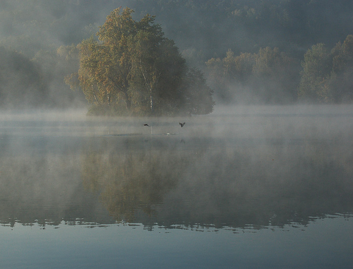 Ráno u rybníka II.
