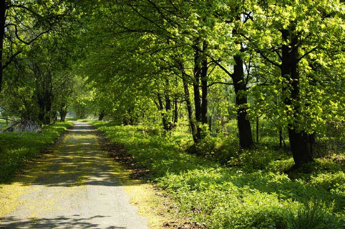 cesta za slunecem Vidnava