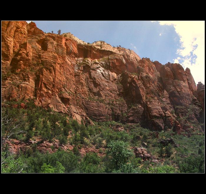 Zion´s State Park 5