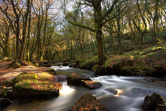 Golitha Falls | Cornwal | UK