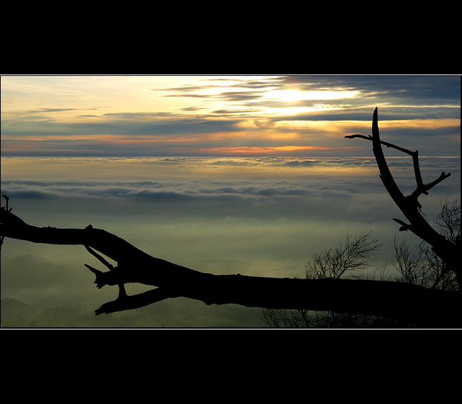 podzimní pohledy I.
