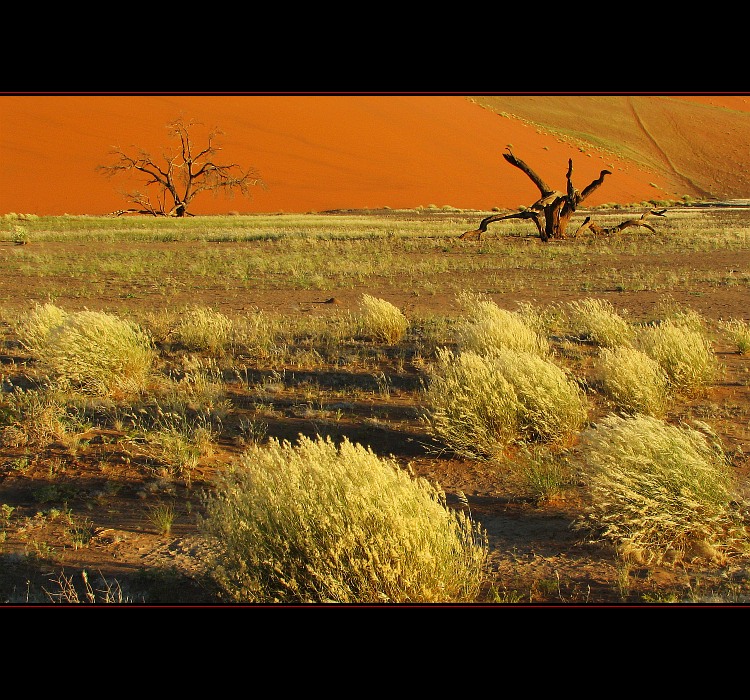 Namíbia - Sossusvlei