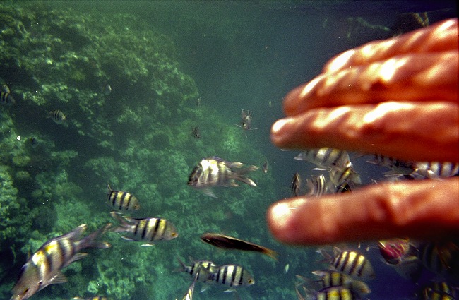**::..Simply \"Touch...\"..::**