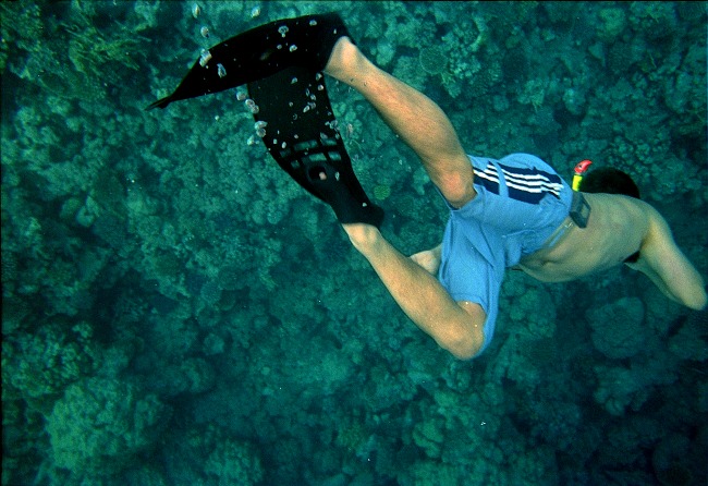 **::..Freediver...