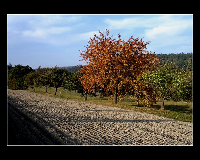 podzimní