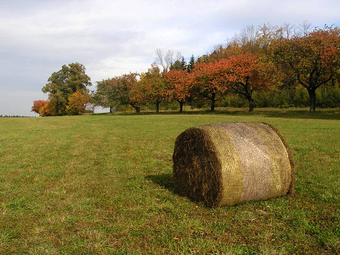 Poslední válec