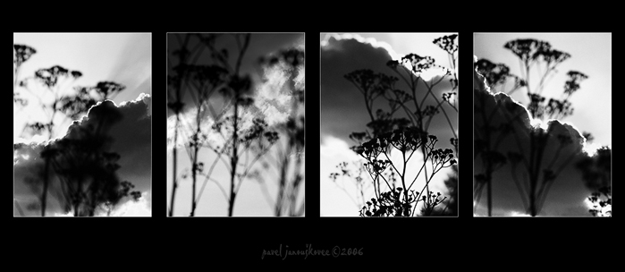 ... příběh o trávě a oblacích ...