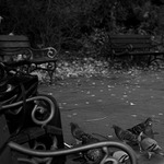 .: V PARKU II. :.