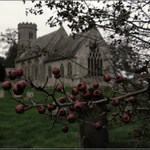 Šípky (Anglie, jak ji vidím já II.)