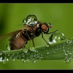 ...a tahle je taky moje...