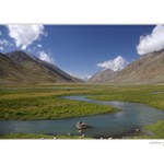Shandur II.