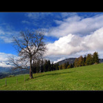 Harmonická obyčejnost