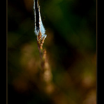 Prdim na vás lidi :-)