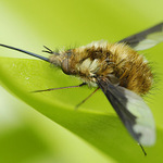 Sosáčkama sosáme..