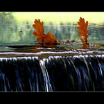 Listopadové plachetnice