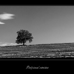 Vysočina podzimní II