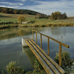 Podzimní barevné malovánky III