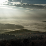 Ranní mlhavé tajemství