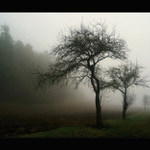 mlha stokrát jinak 001