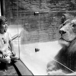 Alenka potkává Aslana