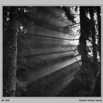 Podzimní světelné hry