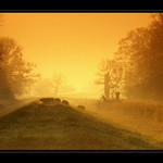 Pořádná divočina :)