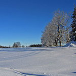 takhle nejak by to u nas melo ted vypadat