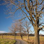 a takhle to vypada - sakra