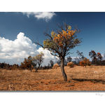 Chalkidiki - dny poté II