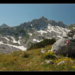 Čierna Hora - NP Durmitor