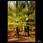 Rozlučka s barvami I