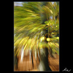 Rozlučka s barvami II