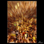 Rozlučka s barvami III