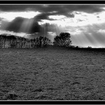 Novembrová - Listopadová