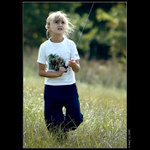 Jak se pouští draci 2