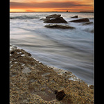 ~ Podvečerní . . . ~