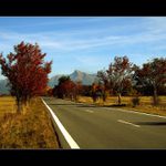 .. CESTOU K NEMU ...