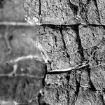 S úsměvem jde všechno...