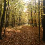 Podzimní melancholie