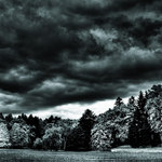 Kdesi v Průhonicích