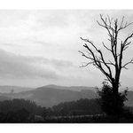 ... příchází ...