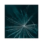 ...dotek z hlubiny...