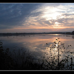 Rybník