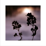 všechno jednou končí