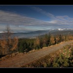 Po modřínové cestě