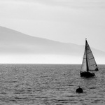 sólo pro plachetnici (s olivovým olejem. ne čajem. natožpak kávou)